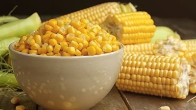 بينها إنقاص الوزن.. فوائد تناول الذرة الصفراء 