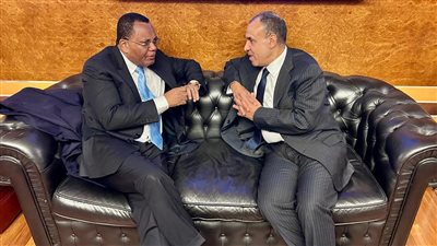 وزير الخارجية يلتقي نظيره الكونجولي على هامش زيارته إلى روما