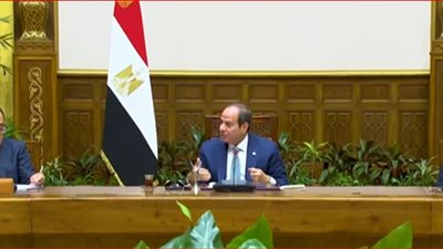 السيسي لـ شركات صناعة السيارات: أنا هوفر لك الأرض والمصانع علشان أشجعك مش أشاركك
