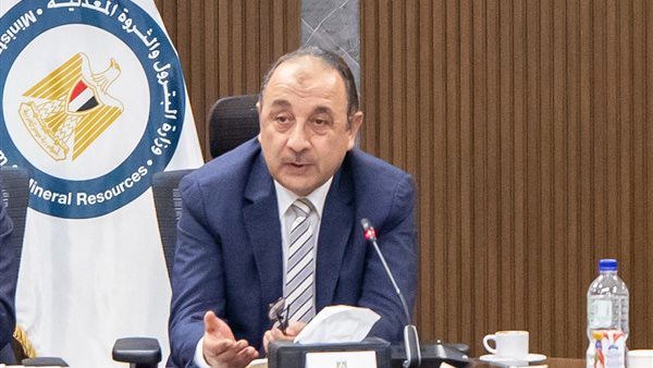 وزير قطاع الأعمال