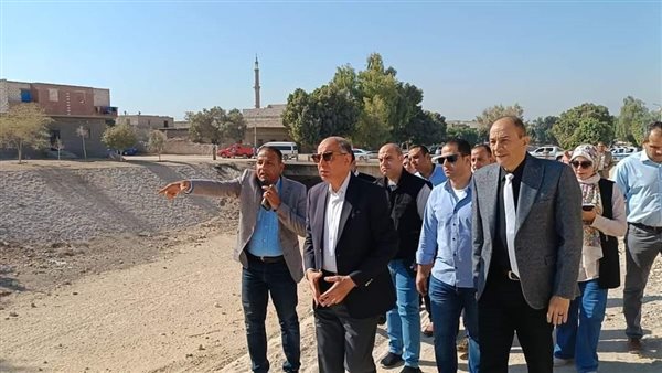 محافظ المنيا