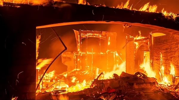 حرائق الغابات - تعبيرية