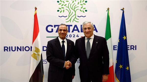 وزير الخارجية 