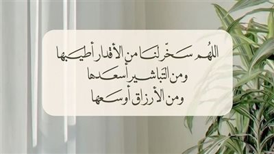 أدعية مستجابة لتيسير الأمور.. كلمة واحدة تجلب لك التوفيق والرزق