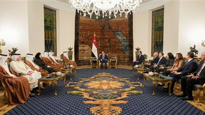 مصر وقطر تشددان على ضرورة دعم الجيش اللبناني للحفاظ على أمنه وسيادته