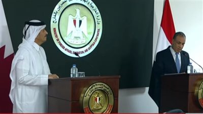 وزير الخارجية: لا مجال لتحقيق الأمن في المنطقة إلا بإقامة الدولة الفلسطينية