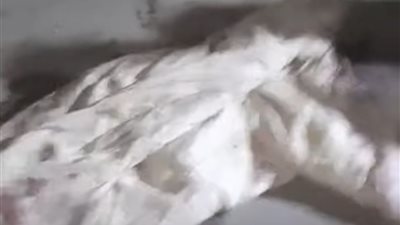  طعنه وسط الشارع.. مصرع شخص على يد ابن عمه بالشرقية بسبب خلافات بينهما