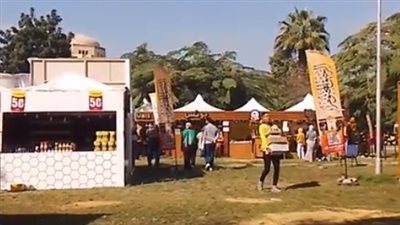  في دورته السابعة.. افتتاح فعاليات مهرجان العسل المصري بحديقة الحرية بالزمالك| بث مباشر 