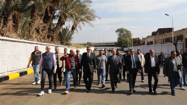 محافظ الجيزة