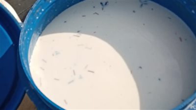 ضبط نصف طن لبن يحوي ذبابا.. وطن مخلل مجهول المصدر في البحيرة