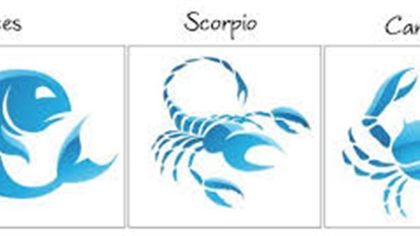 توقعات الأبراج المائية