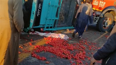 انقلاب سيارة ربع نقل محملة بالطماطم في أسيوط