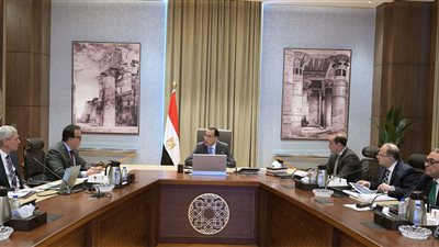 مدبولي يوجه بسرعة سداد 10 مليارات جنيه من مُستحقات شركات الأدوية والمستلزمات الطبية