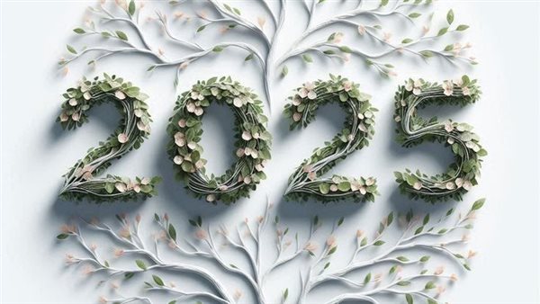 حالات واتس آب رأس