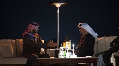 رئيس الإمارات يلتقي ولي العهد السعودي لبحث تعزيز العلاقات المشتركة 