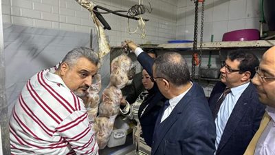 ضبط 324 مخالفة في حملات تموينية بالدقهلية 