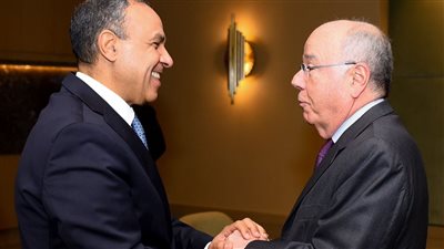 وزير الخارجية والهجرة يبحث مع نظيره البرازيلي جهود تقديم الدعم العاجل لغزة