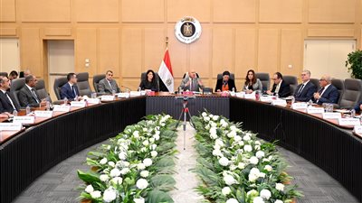 كامل الوزير: خطة لإقامة مدينة متكاملة لتصنيع إطارات السيارات والصناعات المغذية لها