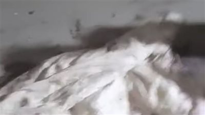 كان بيلعب بسلاح جده.. مقتل مسن على يد حفيده بالأقصر