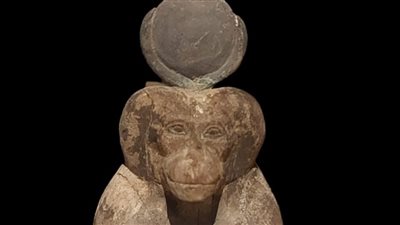عيد العلم المصري.. متحف آثار ملوي يعلن عن عرض تمثال من الخشب لقرد البابون 