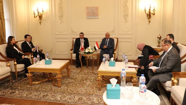 وزير الكهرباء 