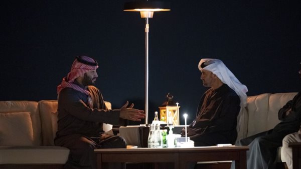 لقاء محمد بن زايد