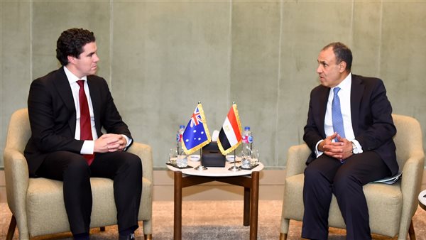 وزير الخارجية يلتقي