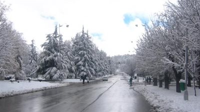 بعد 19 يوما.. البحوث الفلكية تعلن موعد بدء فصل الشتاء رسميًا | بث مباشر