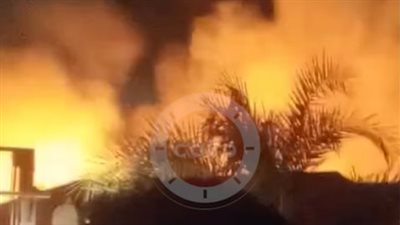 دون إصابات.. السيطرة على حريق نشب في مخلفات زراعية بالمنيا 