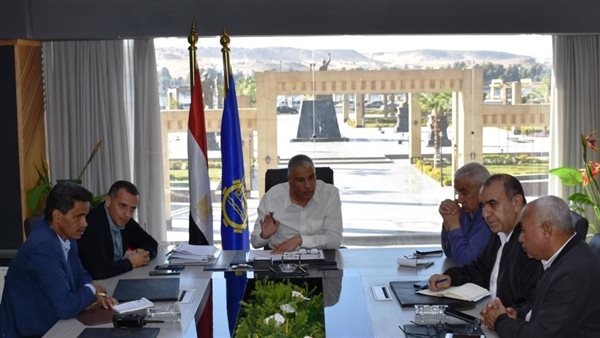 محافظ أسوان