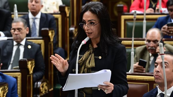 وزيرة التضامن الاجتماعي