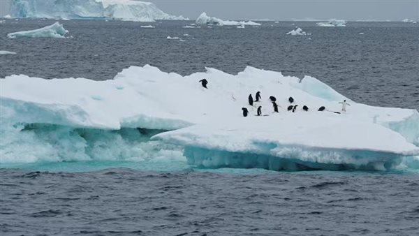 القطب الجنوبي - أرشيفية