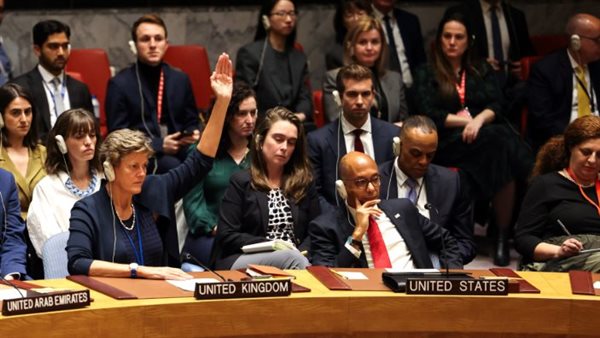 روبرت وود نائب المندوبة