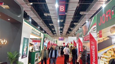 الهند أحد أكبر 5 شركاء تجاريين لمصر بـ 55 شركة واستثمارات تتجاوز 3.75 مليار دولار