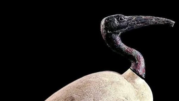 المعبود تحوت 