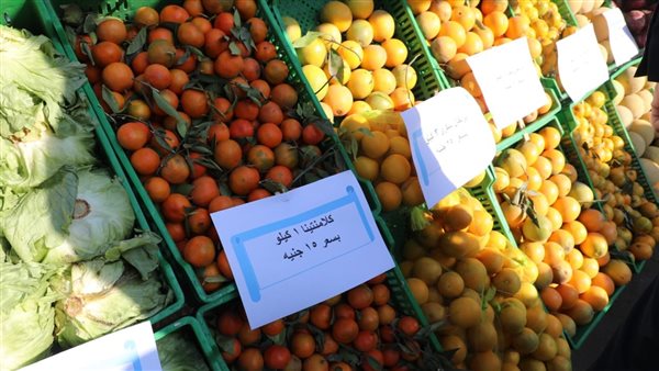 جانب من عروض سوق