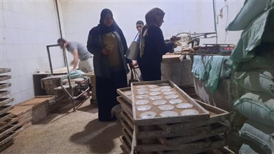 تحرير 59 محضرًا في حملات تموينية على المخابز بالمنوفية