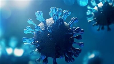 بعد وفاة 79 شخصًا.. تفاصيل جديدة عن المرض الغامض المنتشر في الكونغو