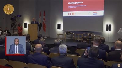 السيسي: سنوقع غدا على ترفيع مستوى العلاقات بين مصر والدنمارك إلى الشراكة الاستراتيجية