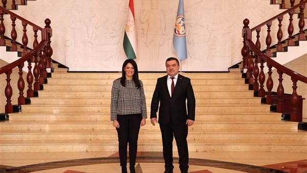 وزيرة التخطيط