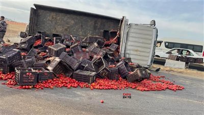 انقلاب سيارة تريلا محملة بالطماطم أعلى الطريق الدائري| صور