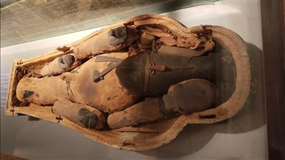 المتحف المصري بالتحرير يلقي الضوء على المعبودات المصرية القديمة الخاصة بالعطور | صور 