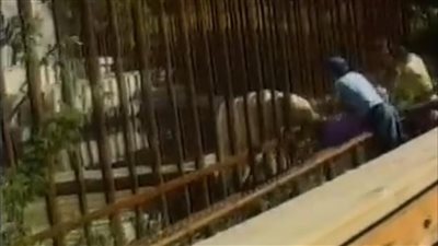 سيدة تتعرض لهجوم من دب بإحدى حدائق الحيوان في الولايات المتحدة 