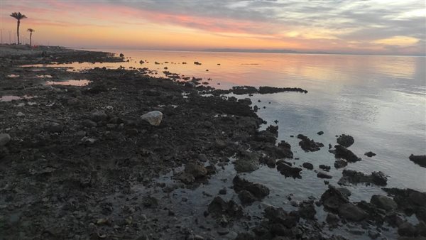 انحسار المياه - أرشيفية