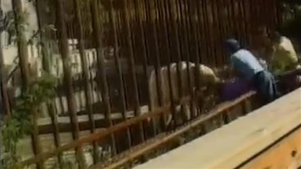 هجوم دب قطبي على