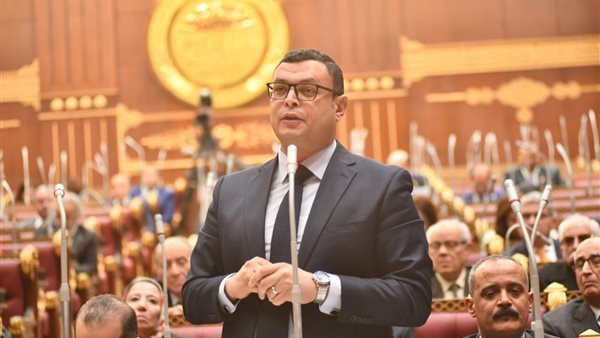 المهندس شريف الشربيني،