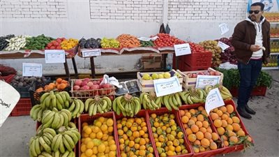 التموين تفتح سوق اليوم الواحد بمنطقة العمرانية بمحافظة الجيزة| صور 