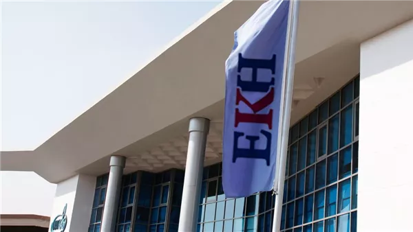 الشركة القابضة المصرية