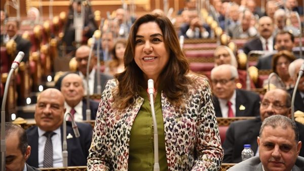 وزيرة التنمية المحلية