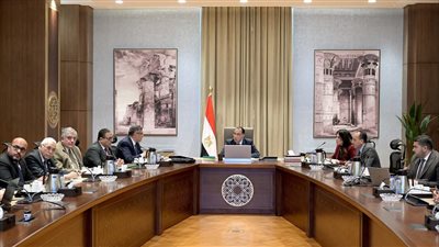 محور أخضر مستدام ومدينة صناعية.. مشروعات ضخمة لإحداث نقلة نوعية بمحافظة الجيزة 